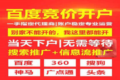SEM广告投放的技巧与策略——成功案例分享